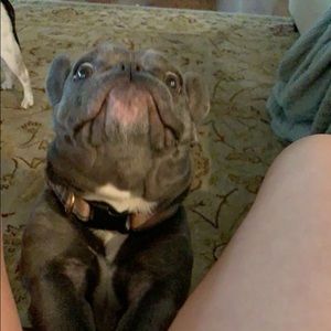 Meet your Posher, Mia